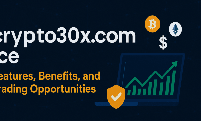 crypto30x.com ice